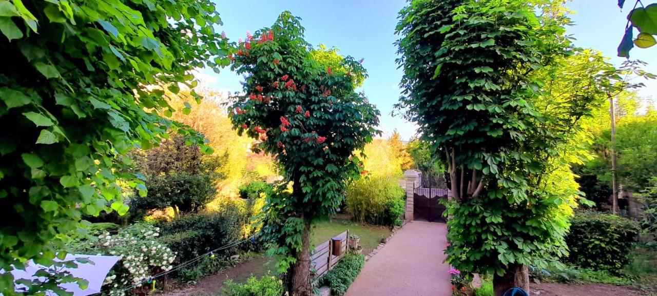 Le gîte du Tarn Aguessac Extérieur photo