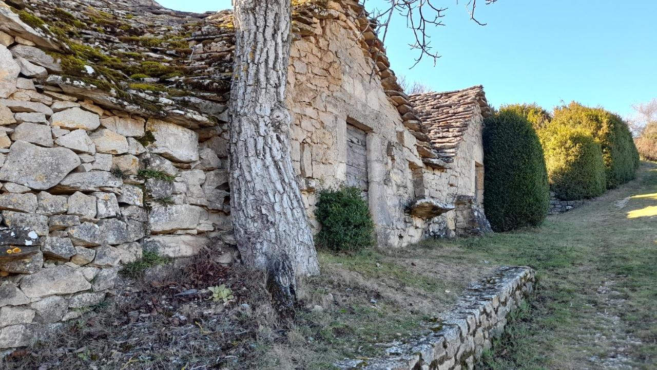 Le gîte du Tarn Aguessac Extérieur photo